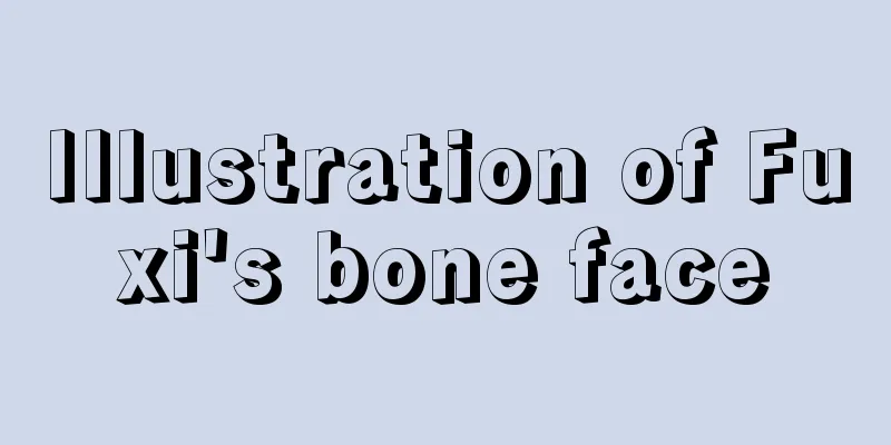 Illustration of Fuxi's bone face