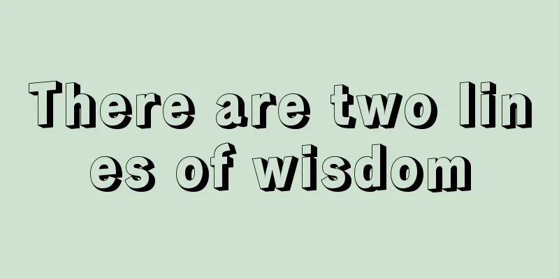 There are two lines of wisdom