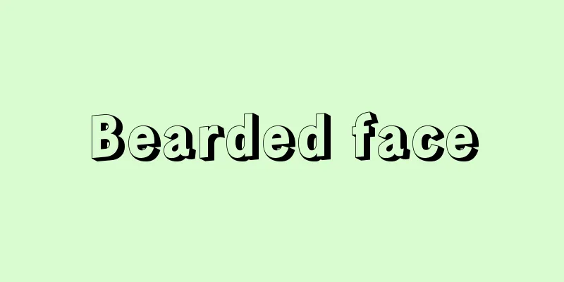 Bearded face