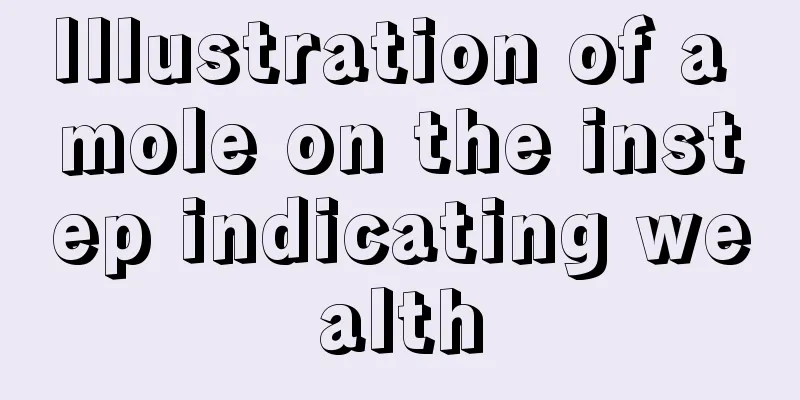 Illustration of a mole on the instep indicating wealth