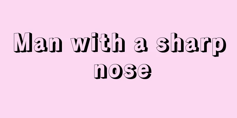 Man with a sharp nose