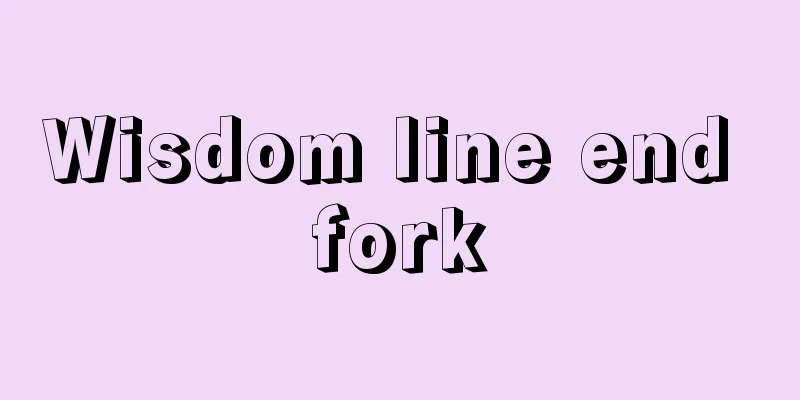 Wisdom line end fork