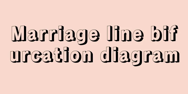 Marriage line bifurcation diagram