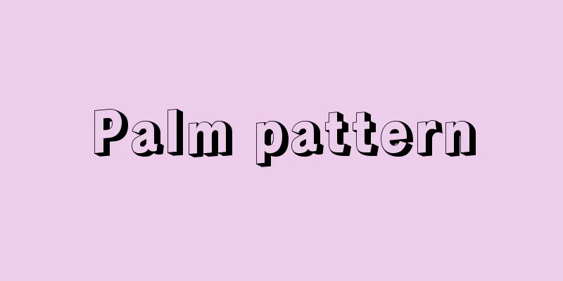 Palm pattern