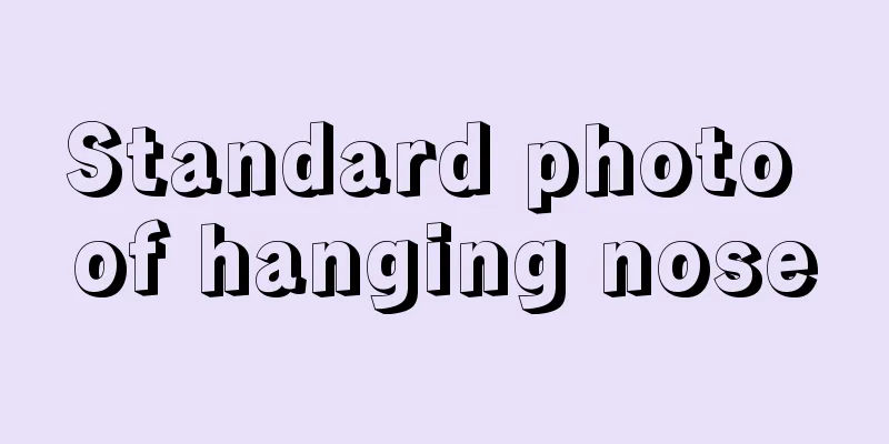 Standard photo of hanging nose