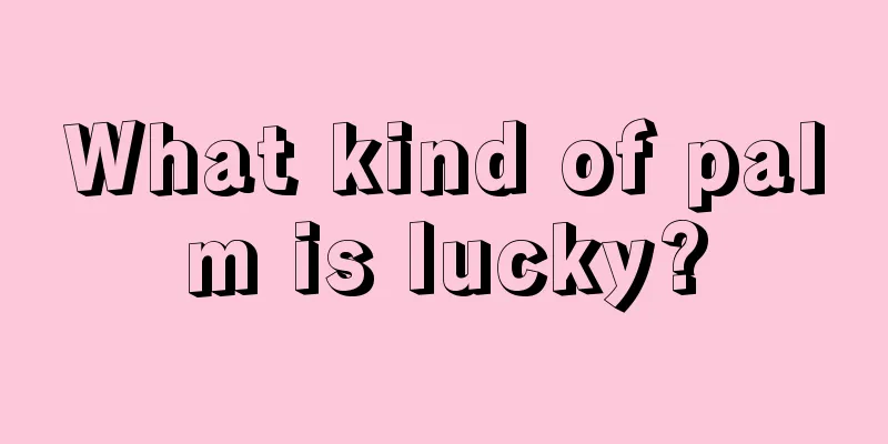 What kind of palm is lucky?