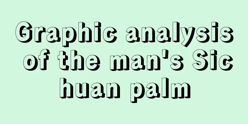 Graphic analysis of the man's Sichuan palm