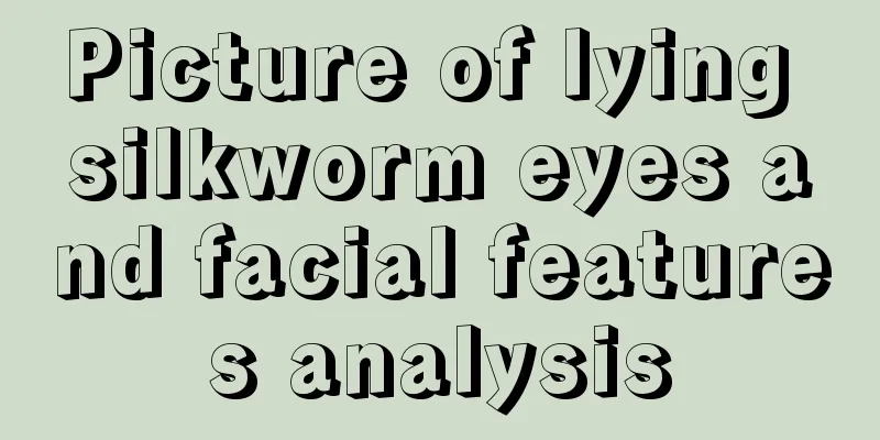 Picture of lying silkworm eyes and facial features analysis