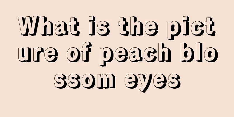 What is the picture of peach blossom eyes