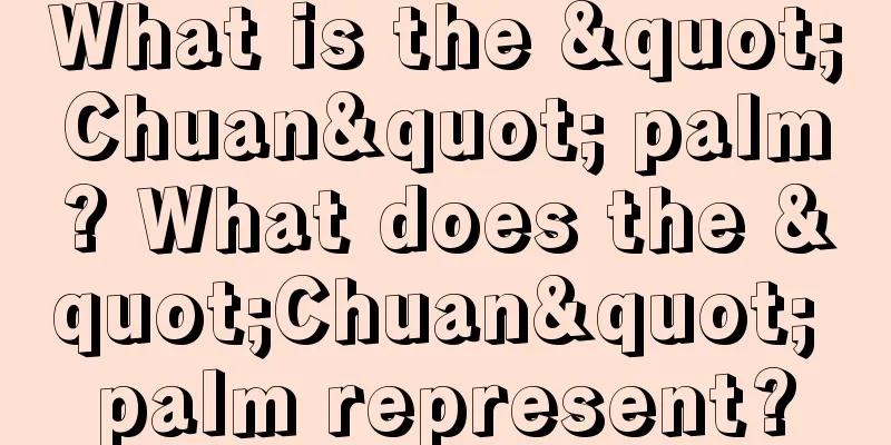What is the "Chuan" palm? What does the "Chuan" palm represent?