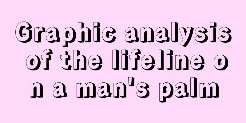 Graphic analysis of the lifeline on a man's palm
