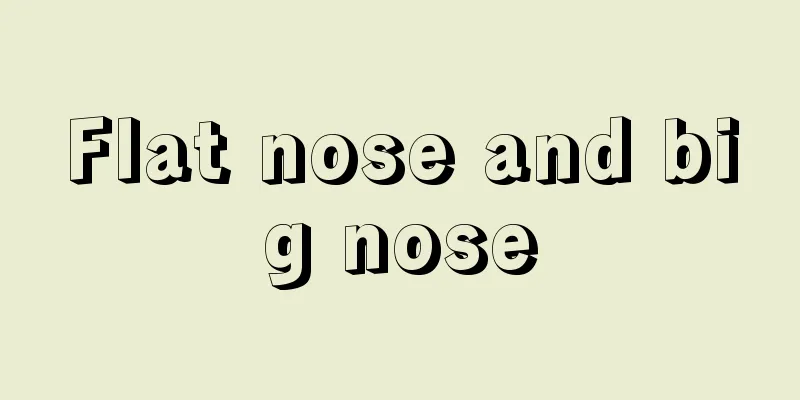 Flat nose and big nose