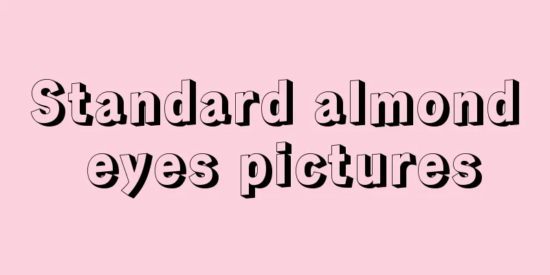 Standard almond eyes pictures