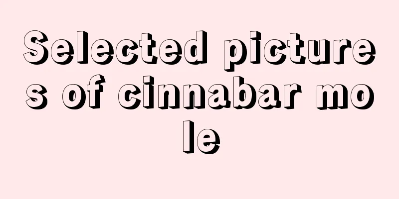 Selected pictures of cinnabar mole