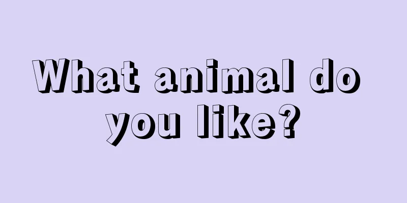 What animal do you like?