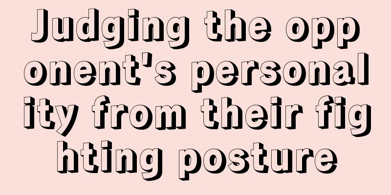 Judging the opponent's personality from their fighting posture