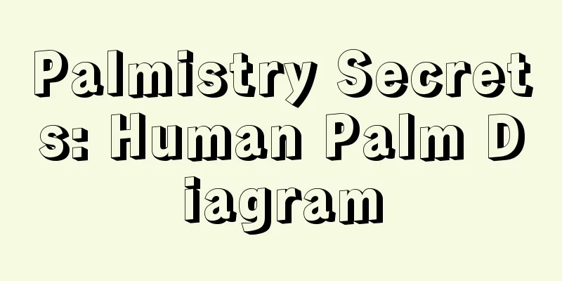 Palmistry Secrets: Human Palm Diagram