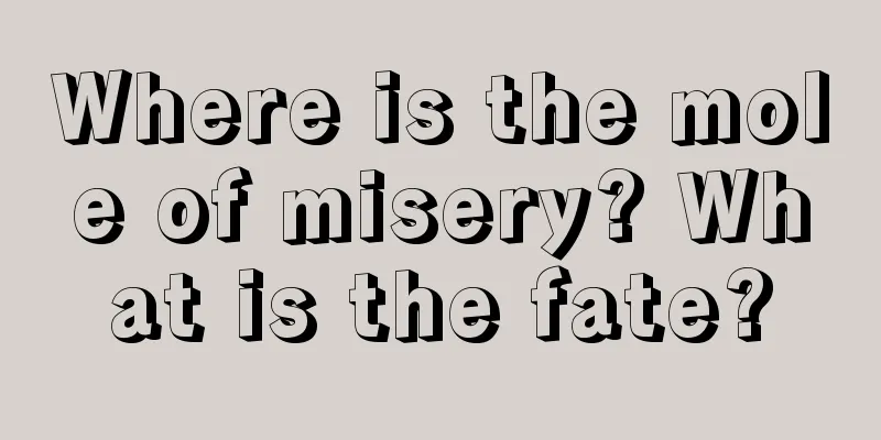 Where is the mole of misery? What is the fate?