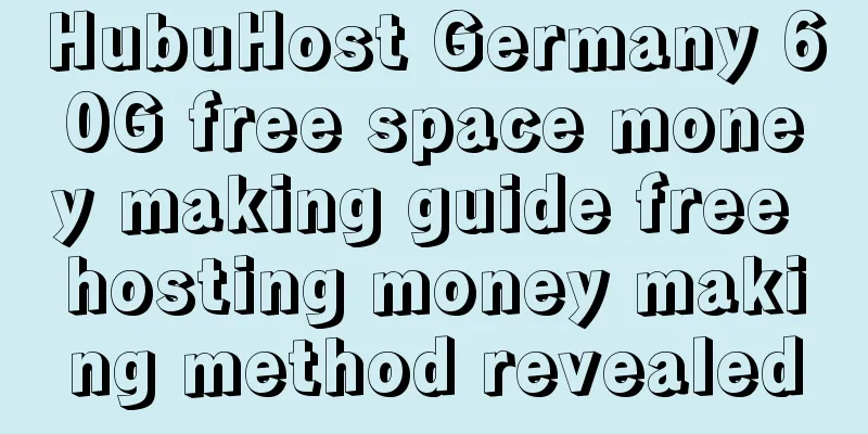 HubuHost Germany 60G free space money making guide free hosting money making method revealed