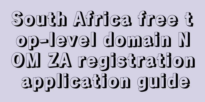 South Africa free top-level domain NOM ZA registration application guide