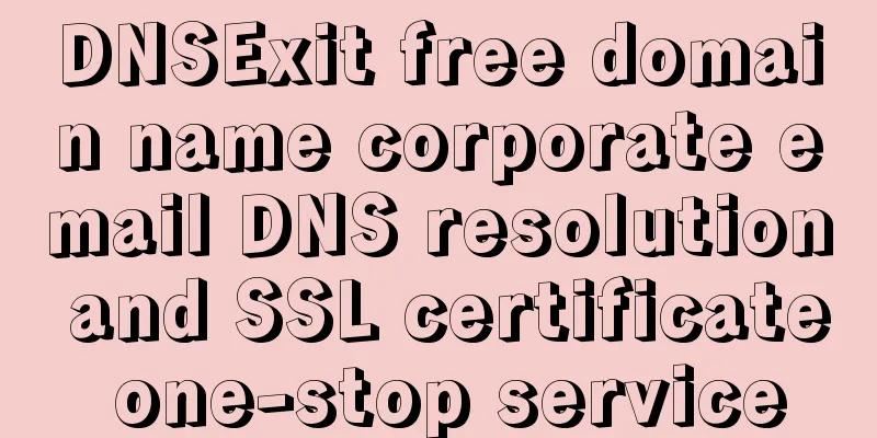 DNSExit free domain name corporate email DNS resolution and SSL certificate one-stop service