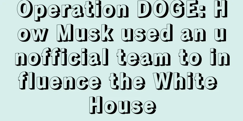 Operation DOGE: How Musk used an unofficial team to influence the White House