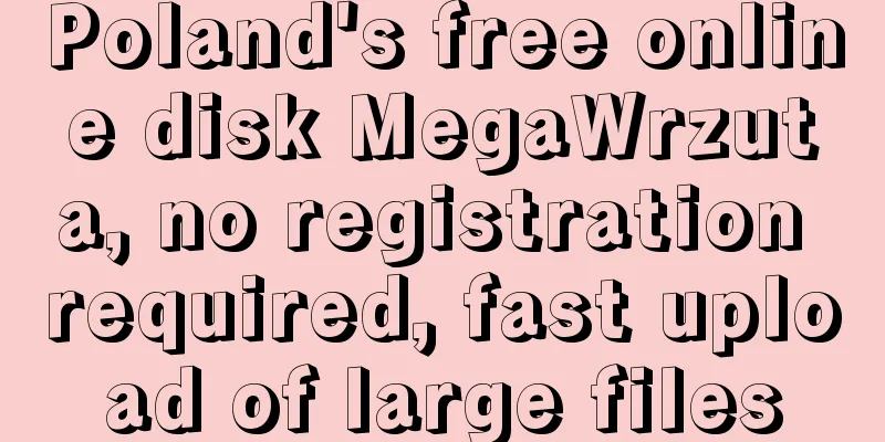 Poland's free online disk MegaWrzuta, no registration required, fast upload of large files