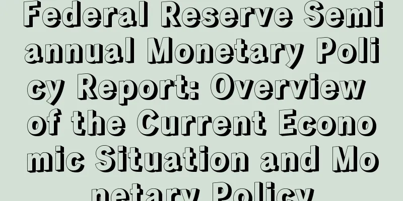 Federal Reserve Semiannual Monetary Policy Report: Overview of the Current Economic Situation and Monetary Policy