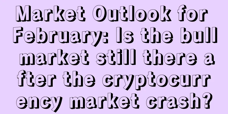 Market Outlook for February: Is the bull market still there after the cryptocurrency market crash?