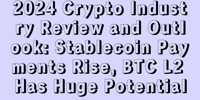 2024 Crypto Industry Review and Outlook: Stablecoin Payments Rise, BTC L2 Has Huge Potential