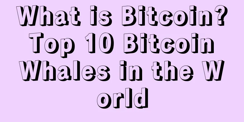 What is Bitcoin? Top 10 Bitcoin Whales in the World
