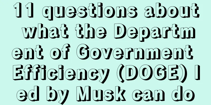 11 questions about what the Department of Government Efficiency (DOGE) led by Musk can do