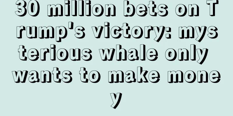 30 million bets on Trump's victory: mysterious whale only wants to make money