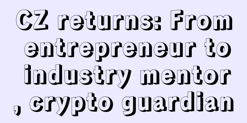 CZ returns: From entrepreneur to industry mentor, crypto guardian