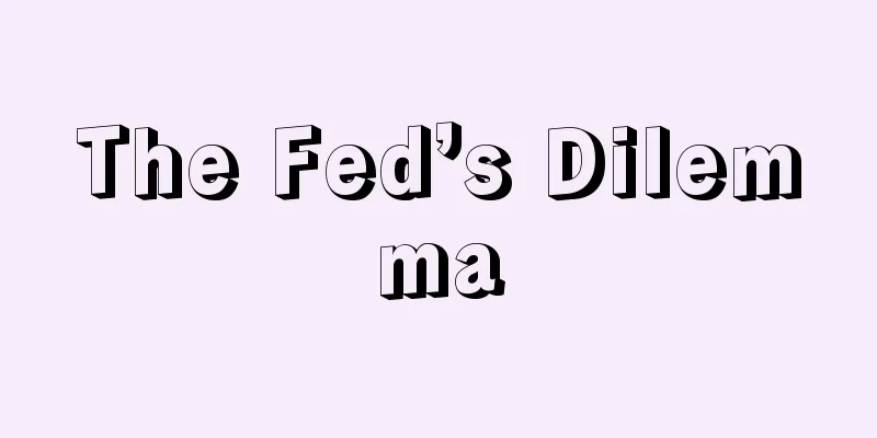 The Fed’s Dilemma