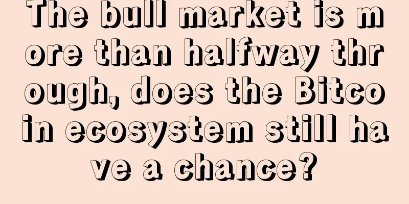 The bull market is more than halfway through, does the Bitcoin ecosystem still have a chance?