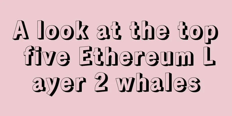 A look at the top five Ethereum Layer 2 whales
