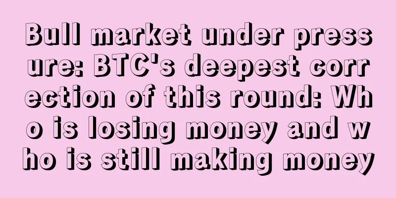Bull market under pressure: BTC's deepest correction of this round: Who is losing money and who is still making money