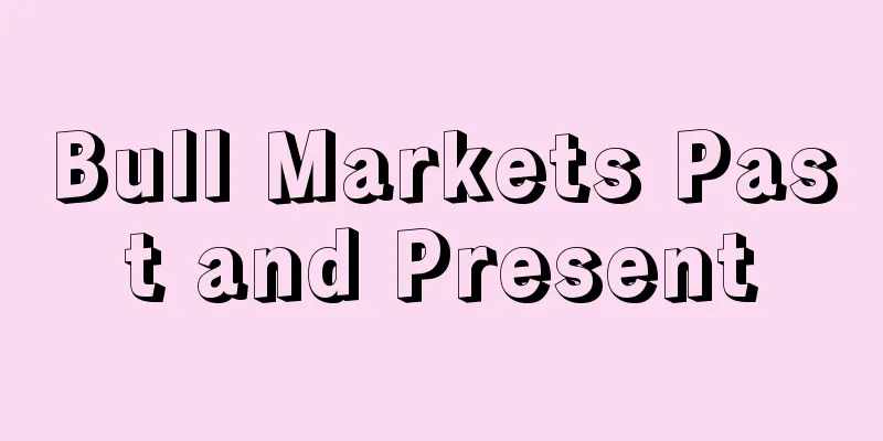 Bull Markets Past and Present