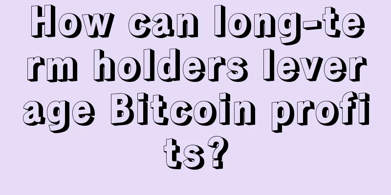 How can long-term holders leverage Bitcoin profits?