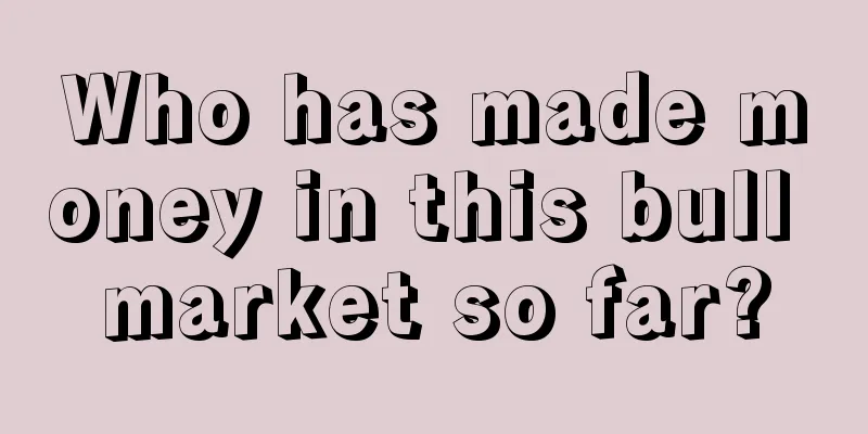 Who has made money in this bull market so far?