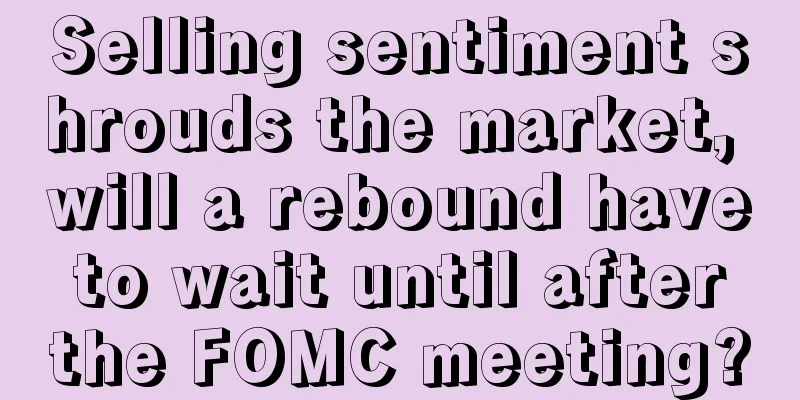 Selling sentiment shrouds the market, will a rebound have to wait until after the FOMC meeting?