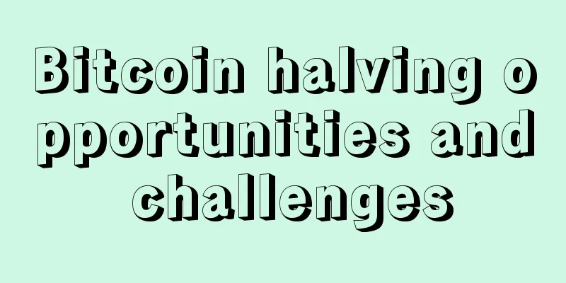 Bitcoin halving opportunities and challenges