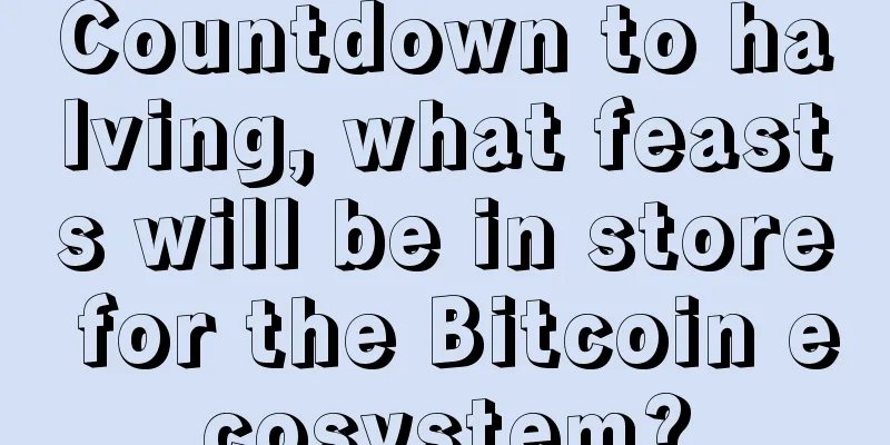 Countdown to halving, what feasts will be in store for the Bitcoin ecosystem?