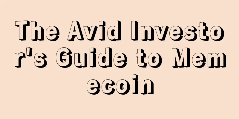 The Avid Investor's Guide to Memecoin
