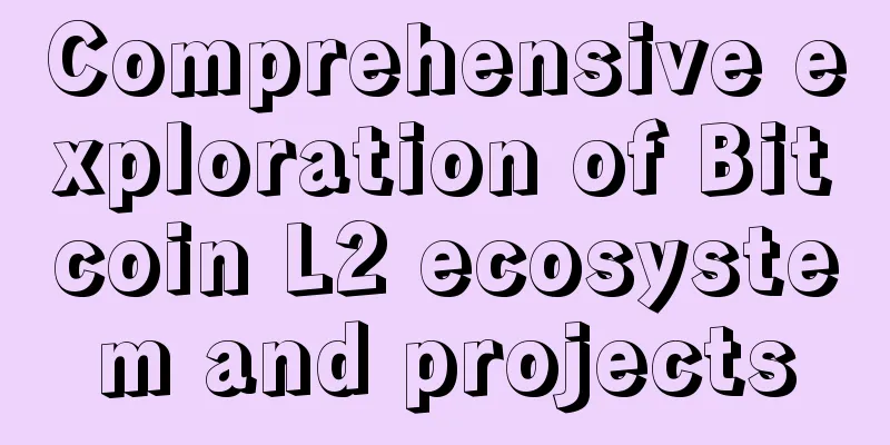 Comprehensive exploration of Bitcoin L2 ecosystem and projects