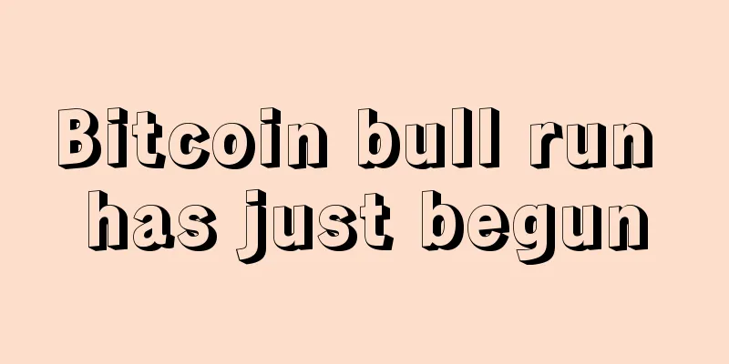 Bitcoin bull run has just begun