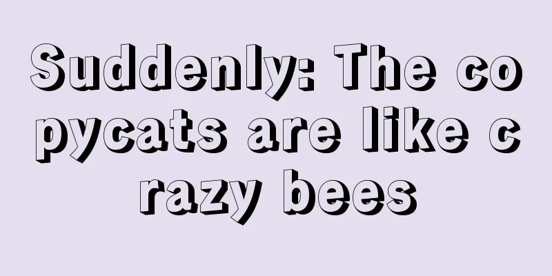 Suddenly: The copycats are like crazy bees