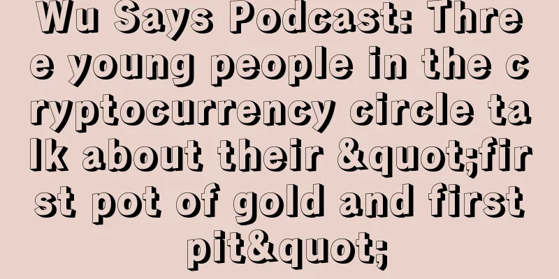 Wu Says Podcast: Three young people in the cryptocurrency circle talk about their "first pot of gold and first pit"