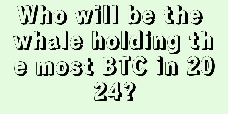 Who will be the whale holding the most BTC in 2024?